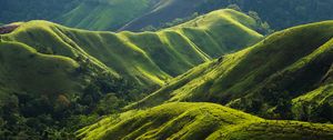 Preview wallpaper hills, relief, greenery, trees, nature, landscape