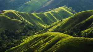 Preview wallpaper hills, relief, greenery, trees, nature, landscape