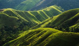 Preview wallpaper hills, relief, greenery, trees, nature, landscape