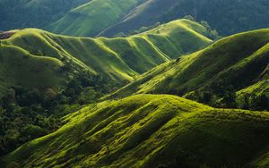 Preview wallpaper hills, relief, greenery, trees, nature, landscape