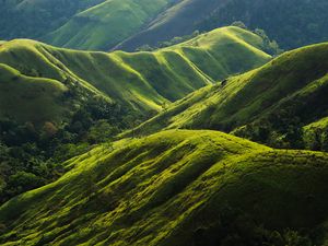 Preview wallpaper hills, relief, greenery, trees, nature, landscape