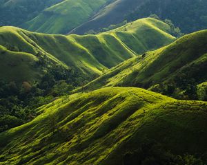 Preview wallpaper hills, relief, greenery, trees, nature, landscape