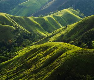 Preview wallpaper hills, relief, greenery, trees, nature, landscape