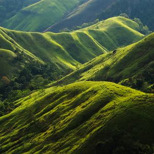 Preview wallpaper hills, relief, greenery, trees, nature, landscape