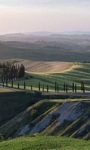 Preview wallpaper hills, relief, trees, grass, nature, tuscany, italy