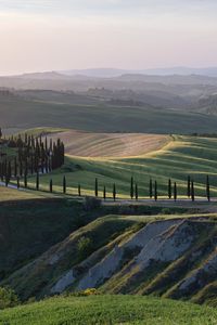 Preview wallpaper hills, relief, trees, grass, nature, tuscany, italy