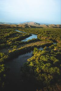 Preview wallpaper hills, river, trees, plants, distance