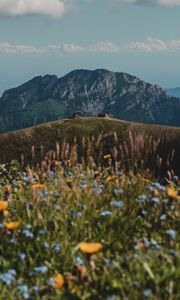 Preview wallpaper hills, rocks, flowers, wildflowers, building