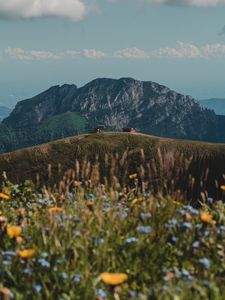 Preview wallpaper hills, rocks, flowers, wildflowers, building