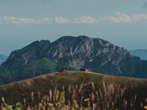 Preview wallpaper hills, rocks, flowers, wildflowers, building