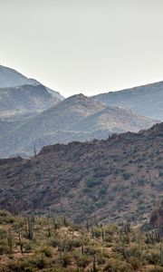 Preview wallpaper hills, slope, cacti, grass, bushes