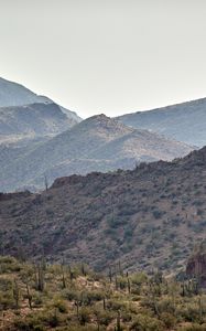 Preview wallpaper hills, slope, cacti, grass, bushes