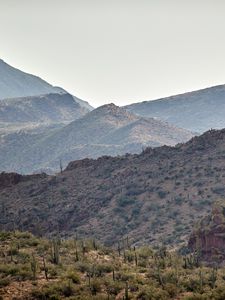 Preview wallpaper hills, slope, cacti, grass, bushes