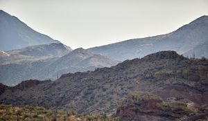 Preview wallpaper hills, slope, cacti, grass, bushes