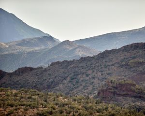 Preview wallpaper hills, slope, cacti, grass, bushes