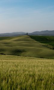 Preview wallpaper hills, slope, grass, field, nature