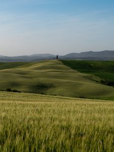 Preview wallpaper hills, slope, grass, field, nature