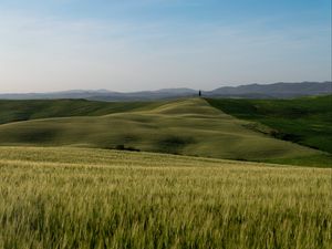 Preview wallpaper hills, slope, grass, field, nature