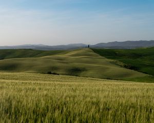 Preview wallpaper hills, slope, grass, field, nature