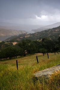 Preview wallpaper hills, slope, grass, trees, river, landscape