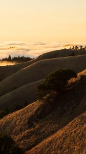 Preview wallpaper hills, slope, sand, dust, bushes