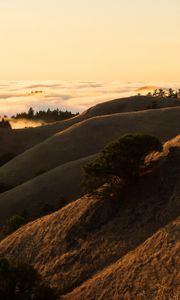 Preview wallpaper hills, slope, sand, dust, bushes