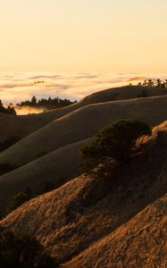 Preview wallpaper hills, slope, sand, dust, bushes