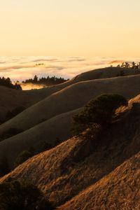 Preview wallpaper hills, slope, sand, dust, bushes