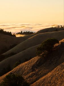 Preview wallpaper hills, slope, sand, dust, bushes