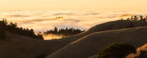 Preview wallpaper hills, slope, sand, dust, bushes