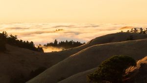 Preview wallpaper hills, slope, sand, dust, bushes