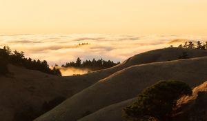 Preview wallpaper hills, slope, sand, dust, bushes