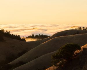 Preview wallpaper hills, slope, sand, dust, bushes