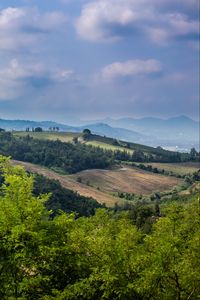 Preview wallpaper hills, slope, trees, distance