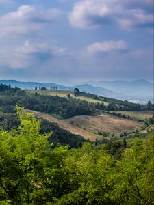 Preview wallpaper hills, slope, trees, distance