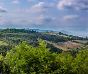 Preview wallpaper hills, slope, trees, distance