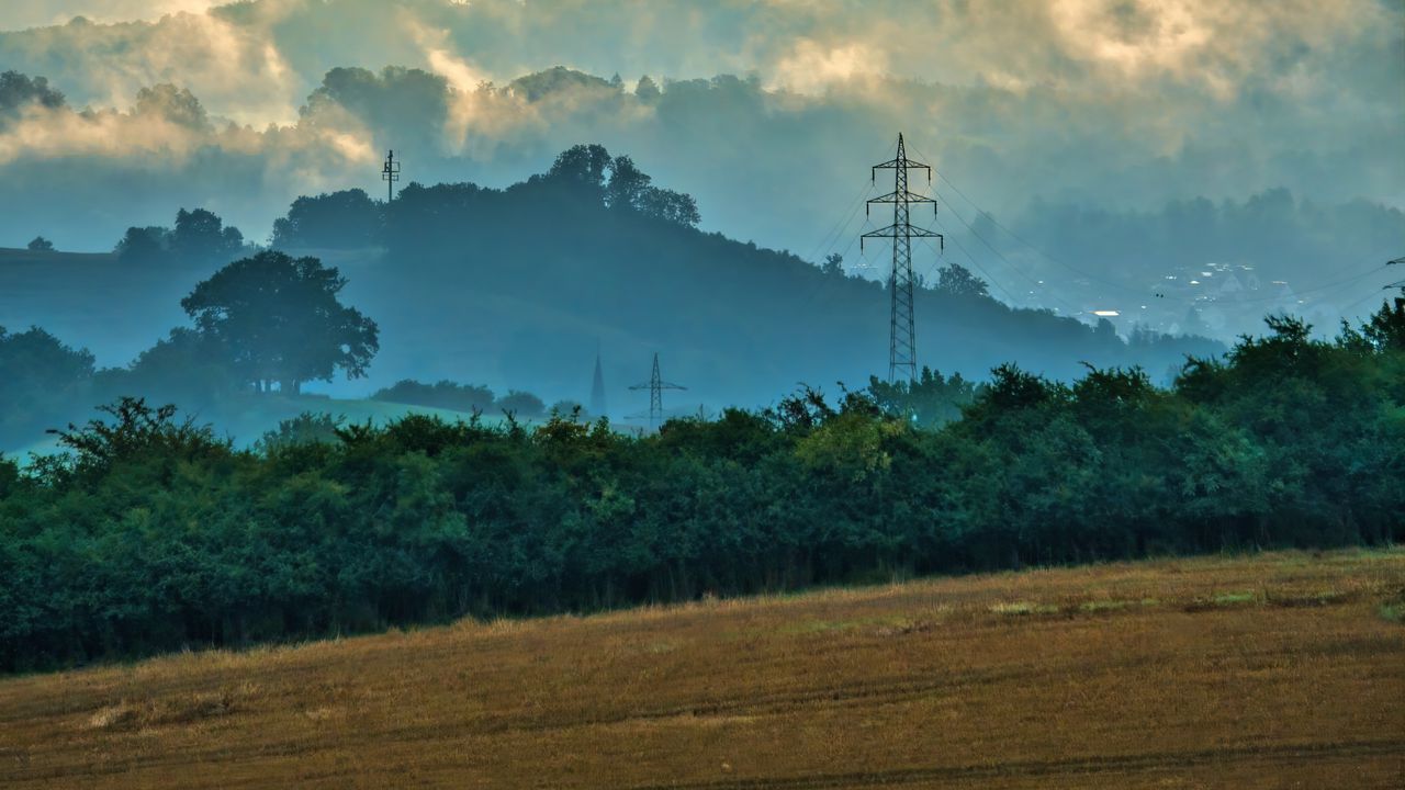 Wallpaper hills, slope, wires, bird, nature