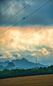 Preview wallpaper hills, slope, wires, bird, nature