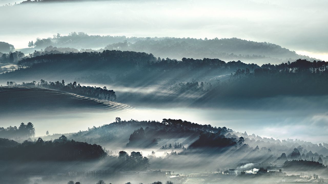 Wallpaper hills, slopes, trees, fog, nature
