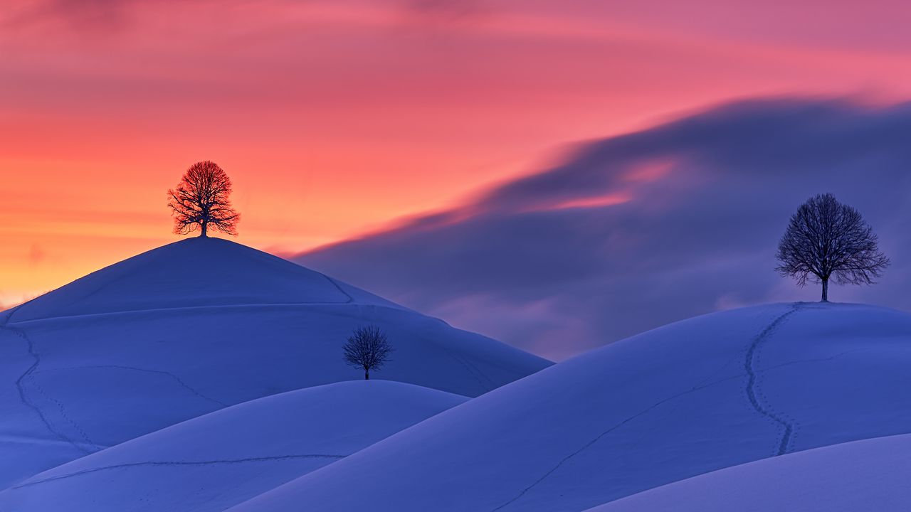 Wallpaper hills, snow, trees, sunset, winter