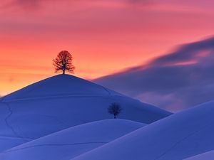Preview wallpaper hills, snow, trees, sunset, winter