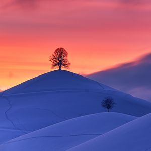 Preview wallpaper hills, snow, trees, sunset, winter