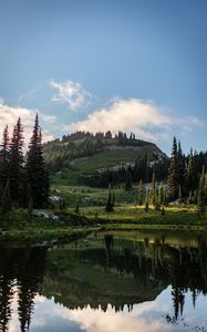 Preview wallpaper hills, spruce, lake, reflection