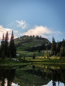 Preview wallpaper hills, spruce, lake, reflection
