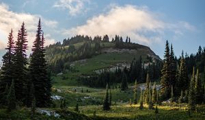 Preview wallpaper hills, spruce, lake, reflection