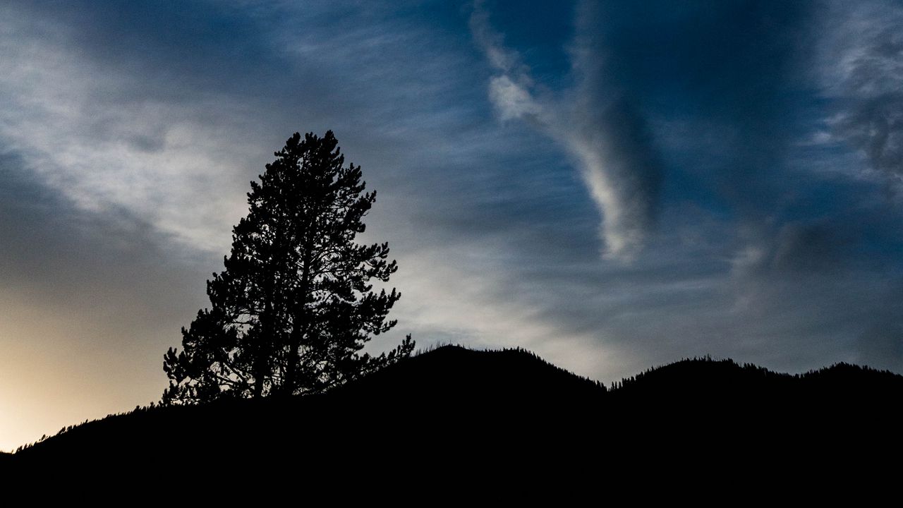 Wallpaper hills, tree, silhouettes, cloud