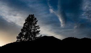 Preview wallpaper hills, tree, silhouettes, cloud