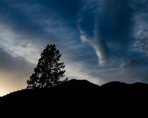 Preview wallpaper hills, tree, silhouettes, cloud