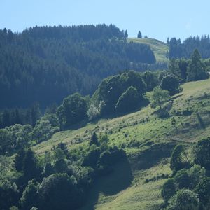 Preview wallpaper hills, trees, aerial view, landscape
