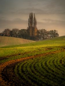 Preview wallpaper hills, trees, arable land